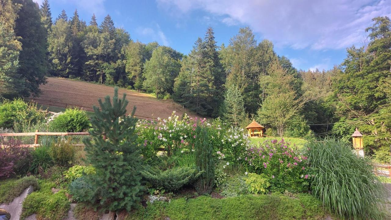U Vesele Lisky Hotel Hutisko Kültér fotó