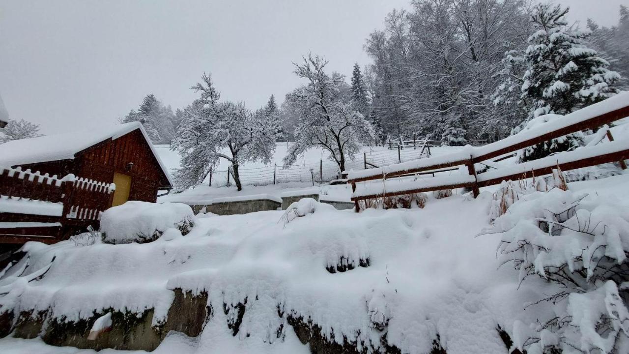 U Vesele Lisky Hotel Hutisko Kültér fotó