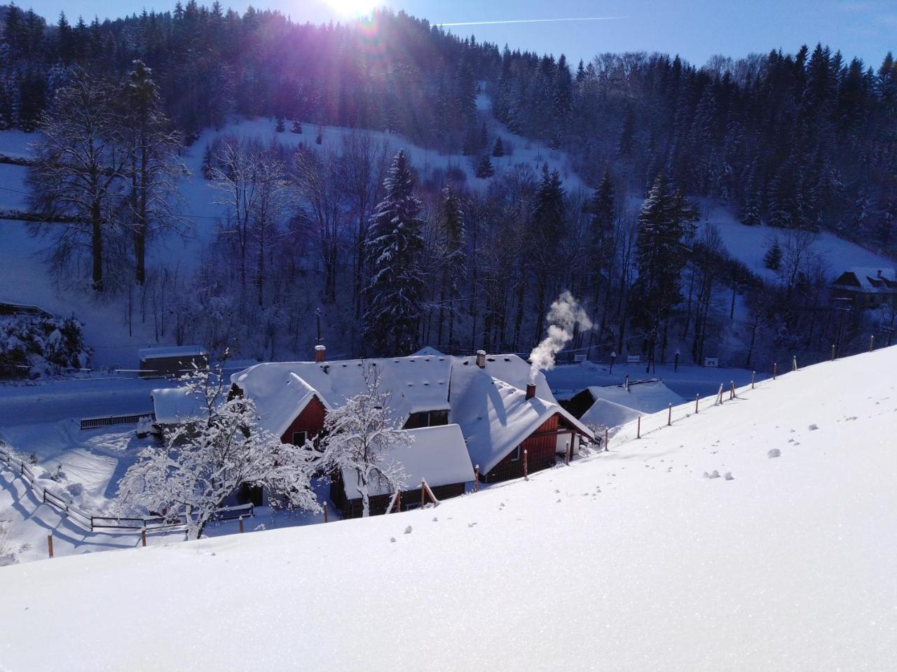 U Vesele Lisky Hotel Hutisko Kültér fotó
